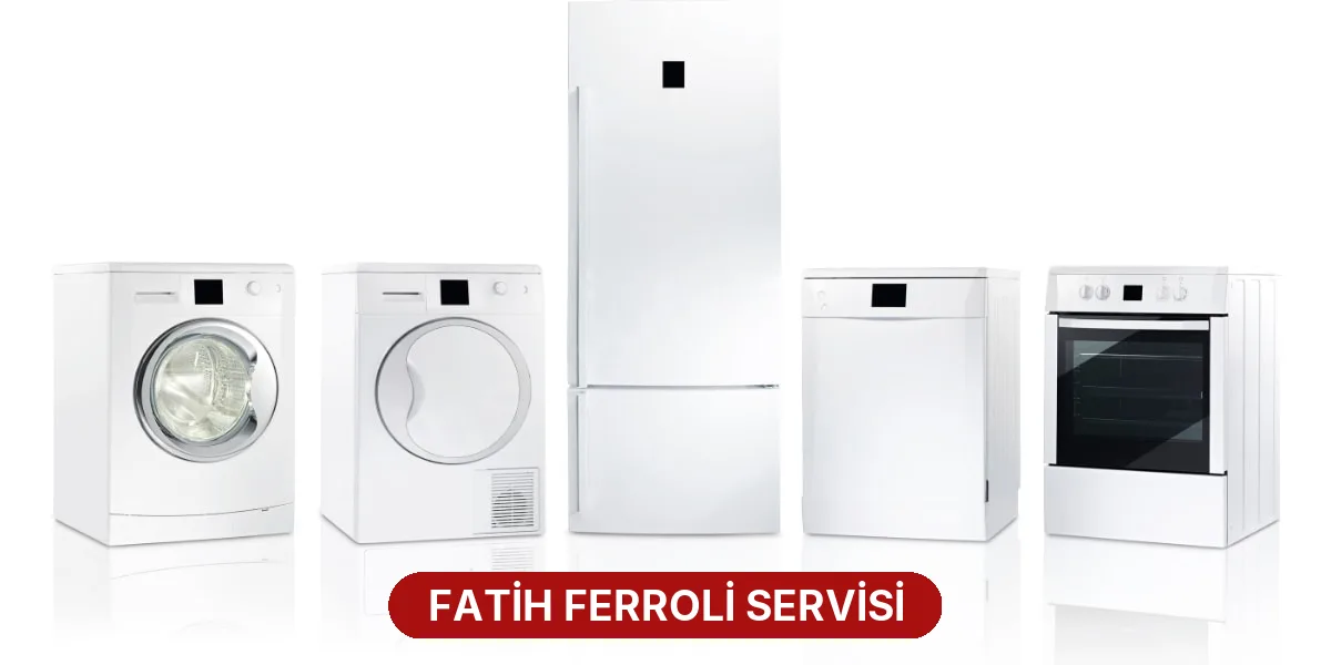 Fatih Ferroli Servisi